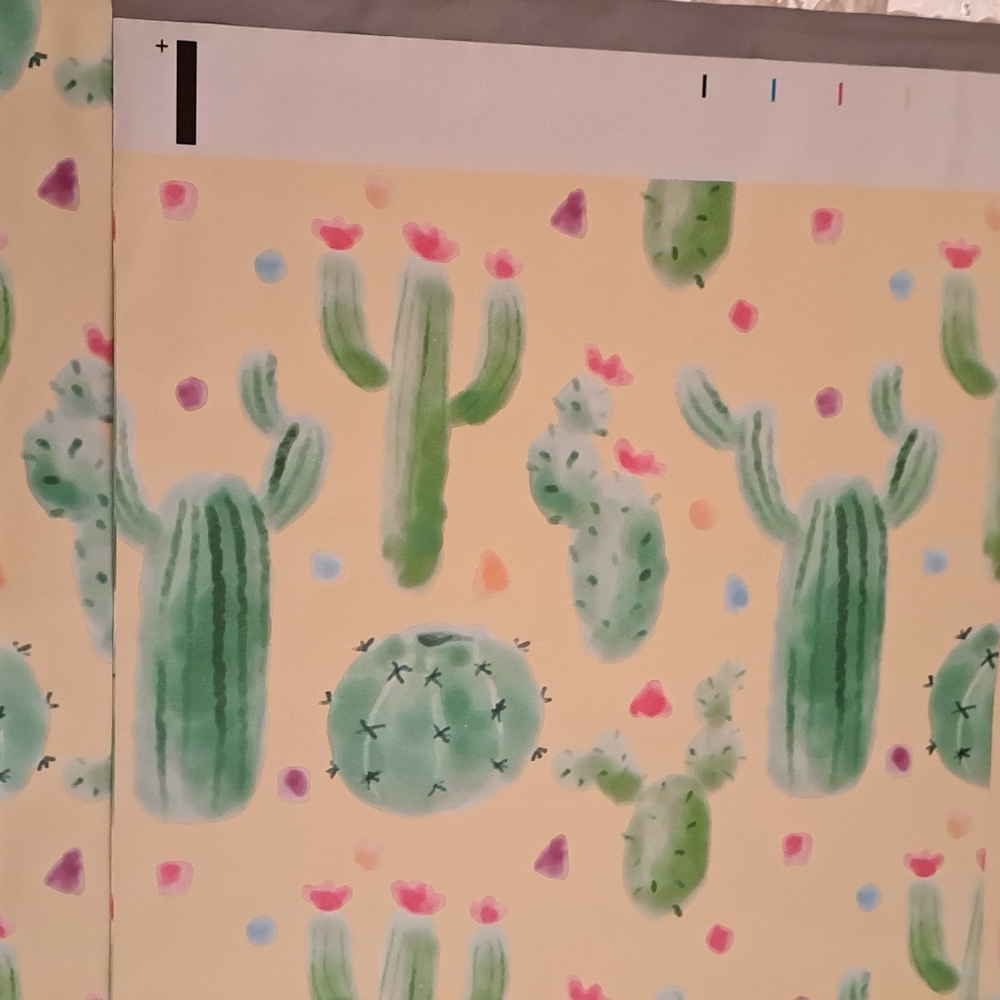 15 ct 10×13 Dessert Cactus polymailers - Picture 3 of 3